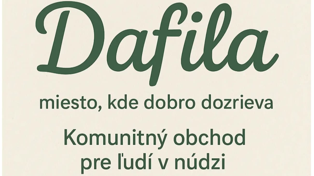 Dafila